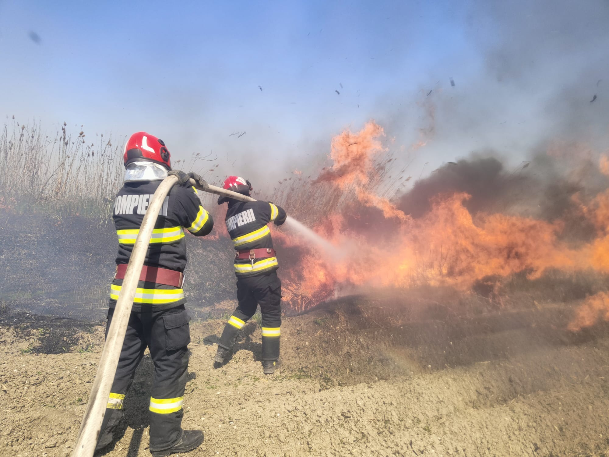 Amenzi de până la 100.000 de lei sau închisoare, pentru incendierea vegetației