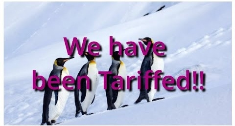 Taxe pentru pinguinii care tac și plătesc