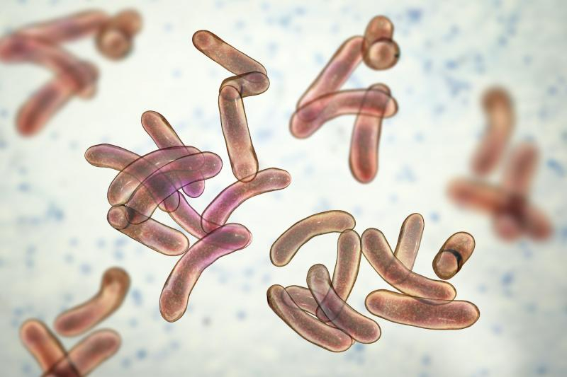 Evitați scăldatul în bălți sau în lacuri neamenajate!