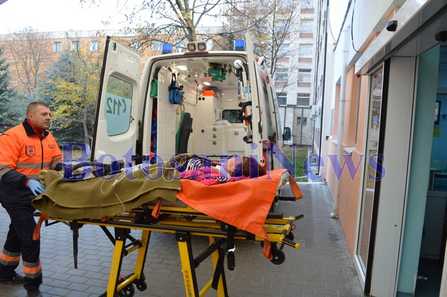 Țara a fost internată la "Reanimale sălbatice"