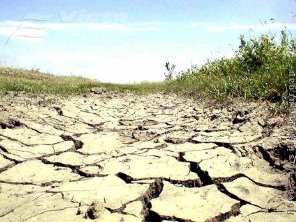 Seceta ne usucă, iar „băieţii deştepţi” se fac că plouă