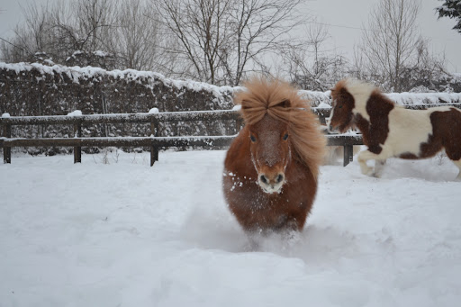 Administrația Națională de Văzduhologie e pe cai mici