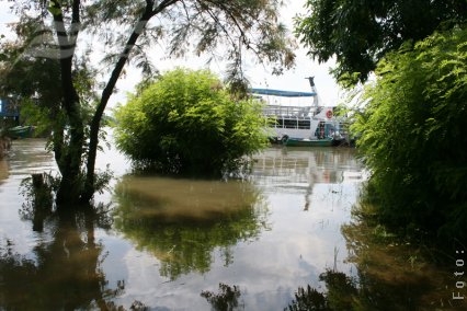 Cod portocaliu pe Dunăre