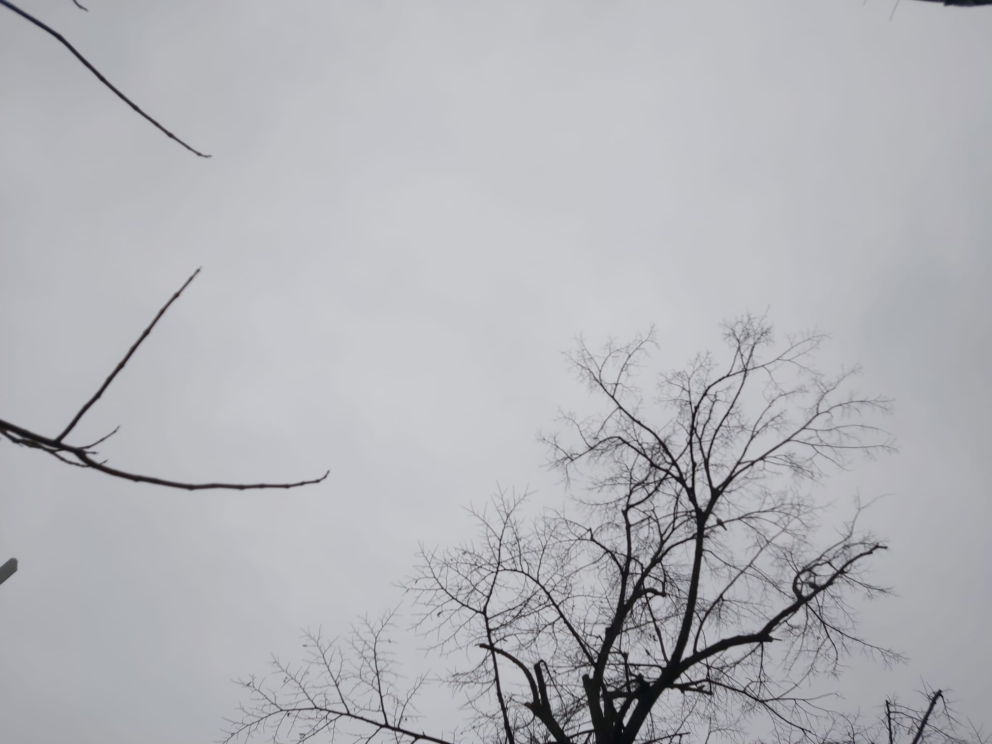 Vremea va continua să se răcească şi va ploua