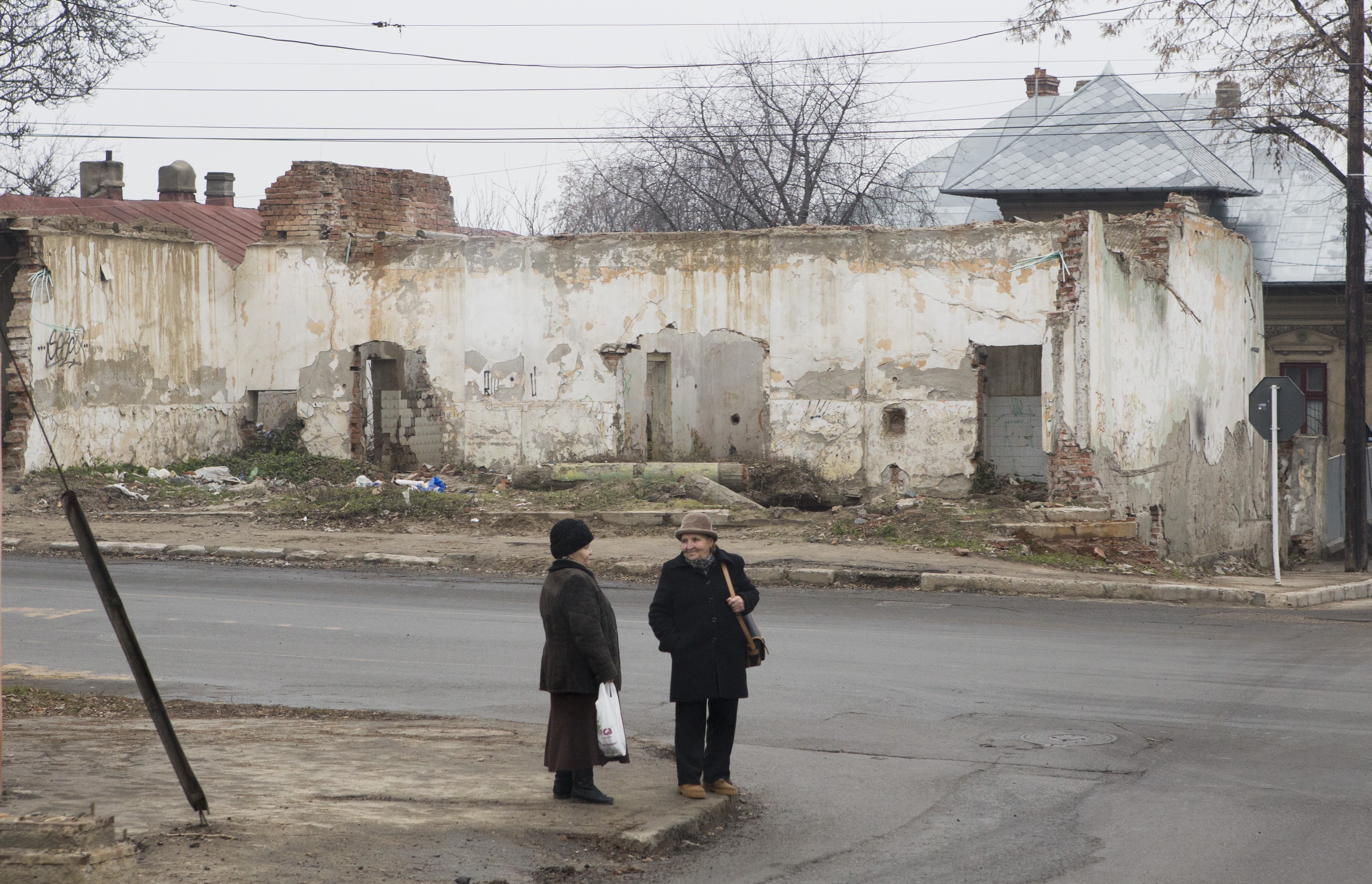 REPORTAJ la Baia Comunală - gropi, GĂŞTI DE CARTIER, CÂINI şi gunoaie (GALERIE FOTO)
