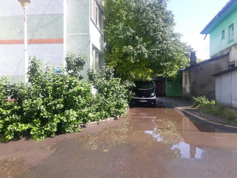 Bloc central, încolțit de bălți și copaci crescuți ”în coastă”