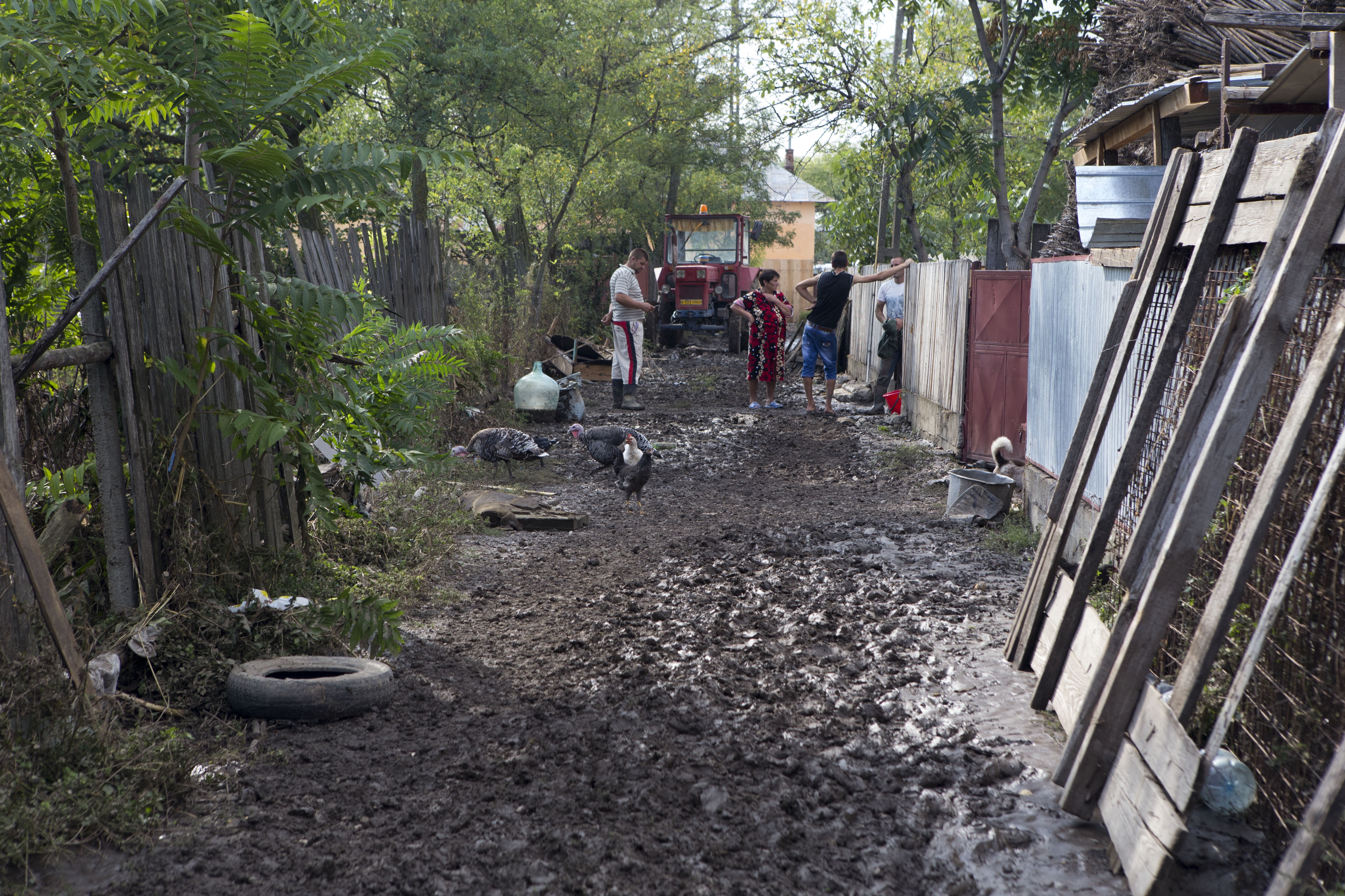 Femeile liberale, în sprijinul sinistraţilor: Centru de colectarea a ajutoarelor la sediul PNL
