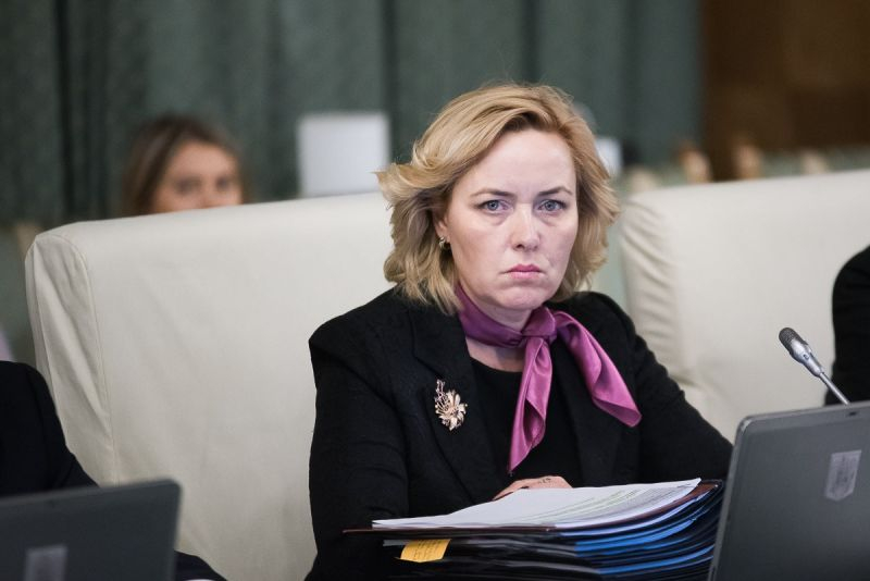 Carmen Dan, audiată în Comisia de apărare a Parlamentului