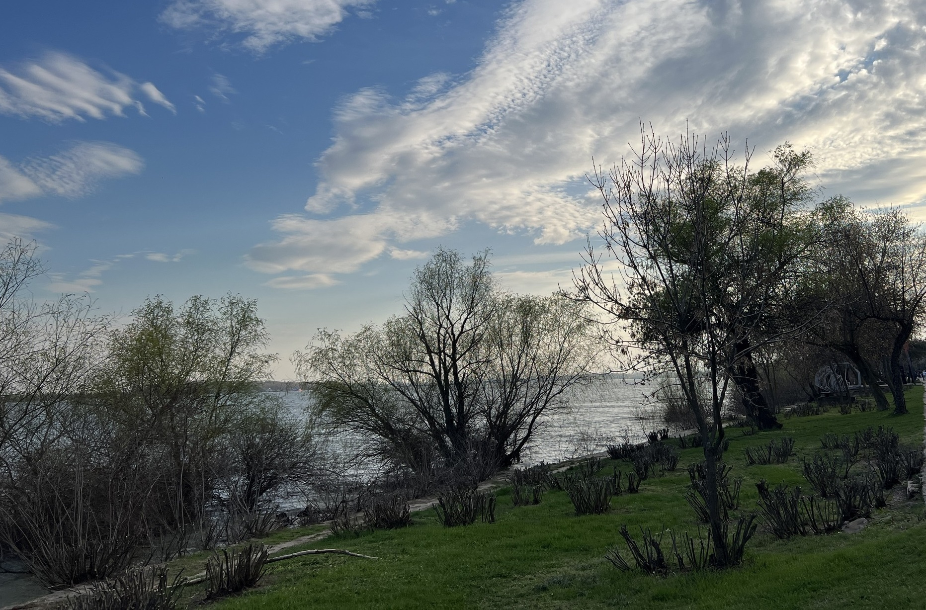 Vreme în încălzire, până pe 10 ianuarie