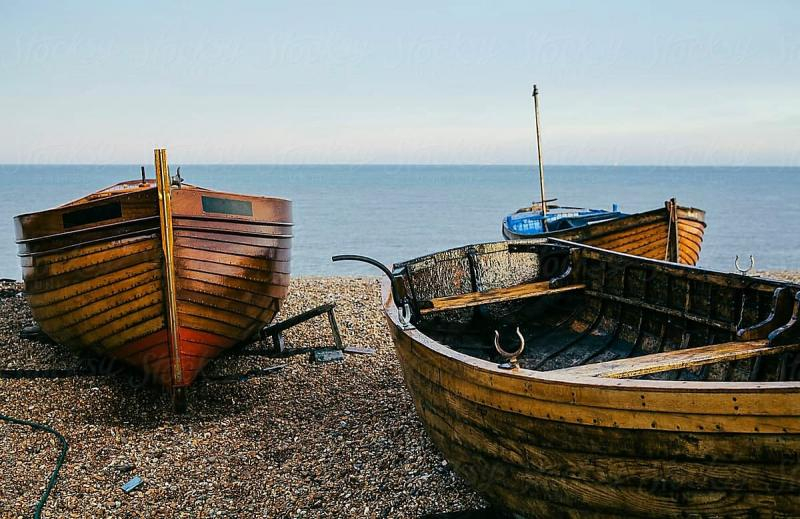 România importă pește proaspăt din... Cehia