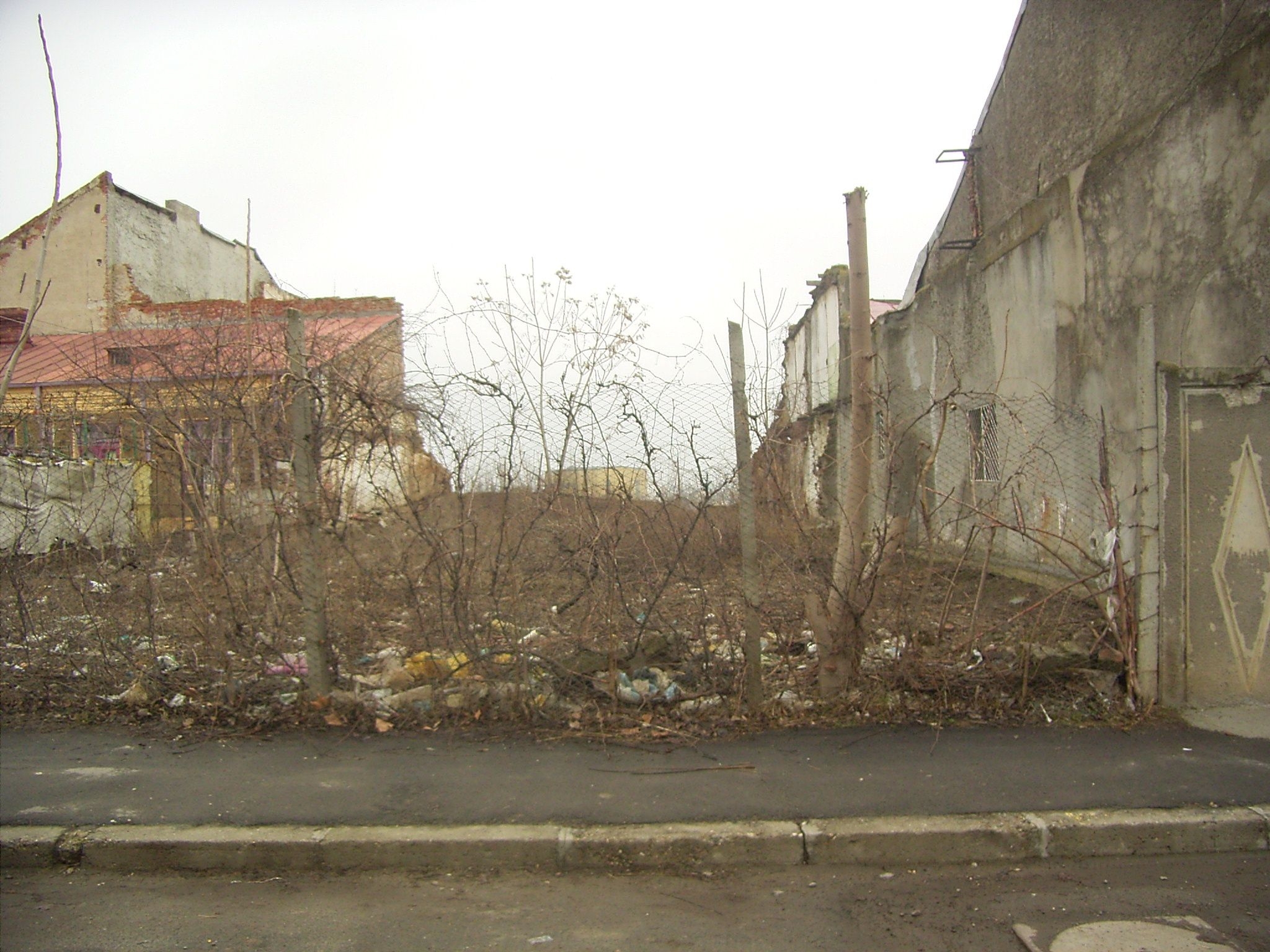 Fani Tardini, cu memoria şterpelită. Geniu omagiat printr-un maidan de gunoaie