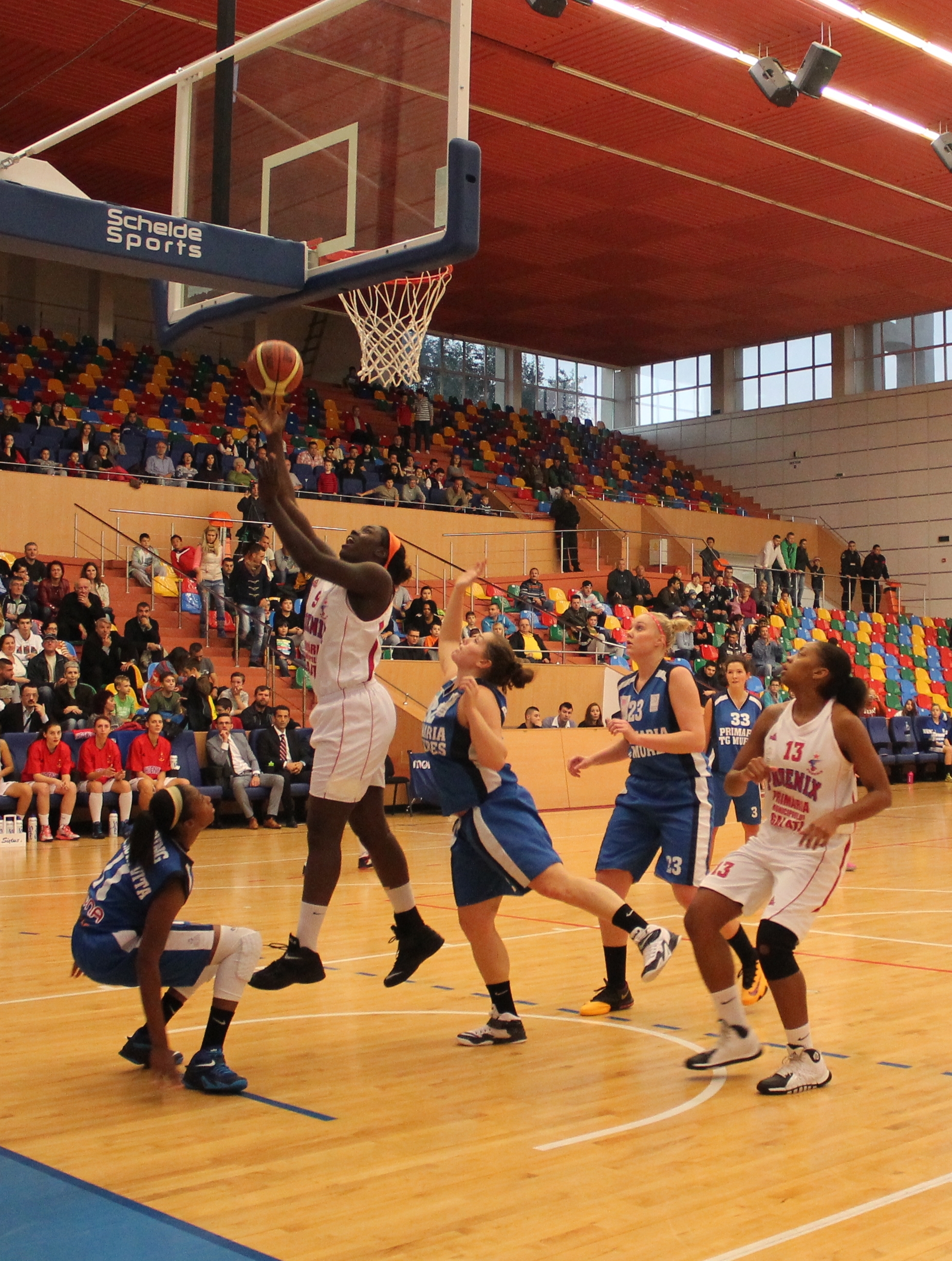 Chelsey Lee, o baschetbalistă de ZECE!