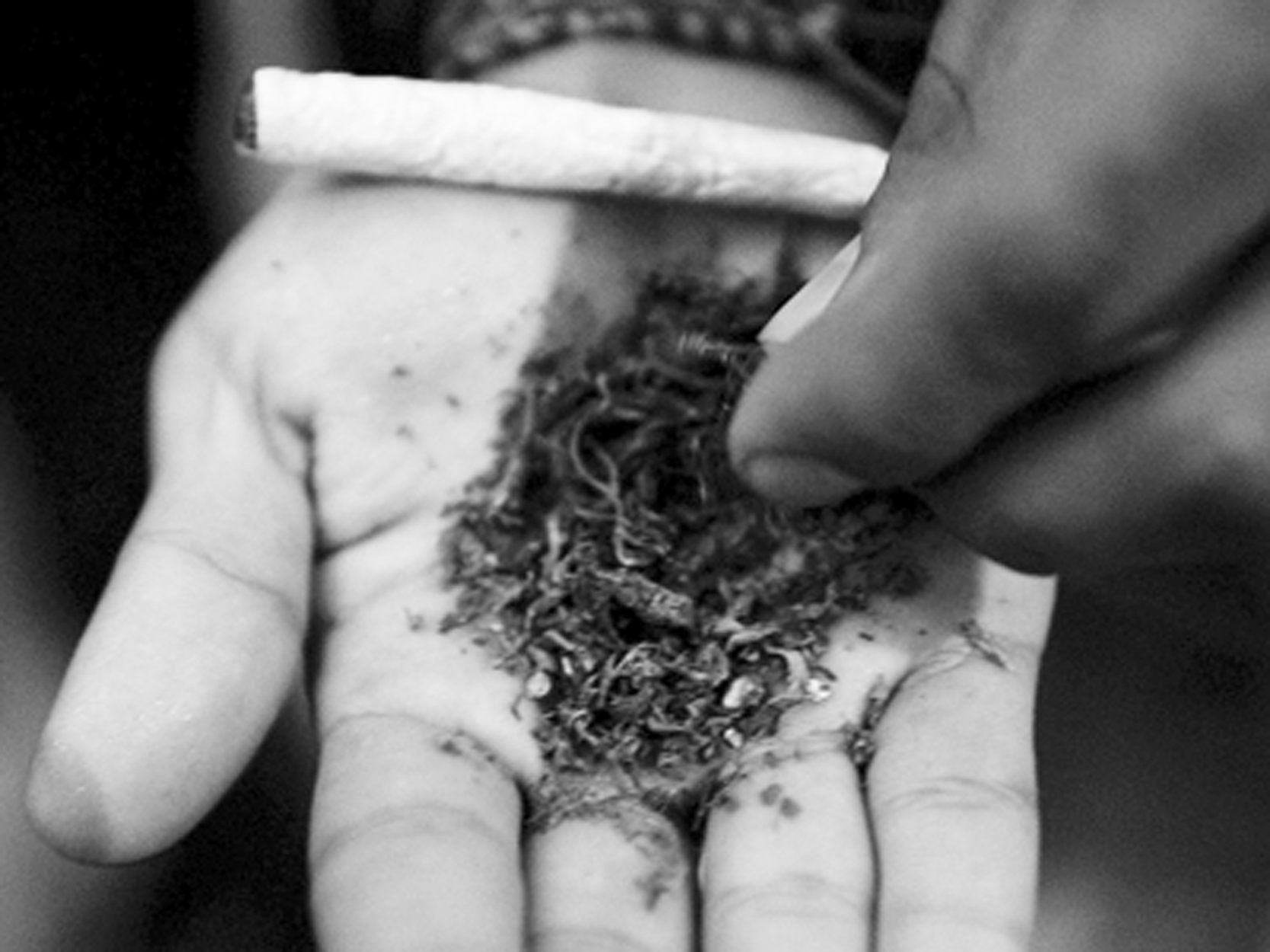 Tinerii gălăţeni au început să consume etnobotanice chiar de la vârsta de 11 ani 