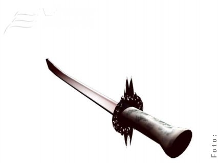 Gălăţean atacat cu sabia în Chicago-Brăila