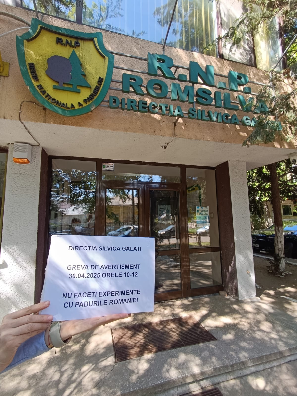 Grevă de avertisment la Direcția Silvică Galați împotriva reorganizării Romsilva
