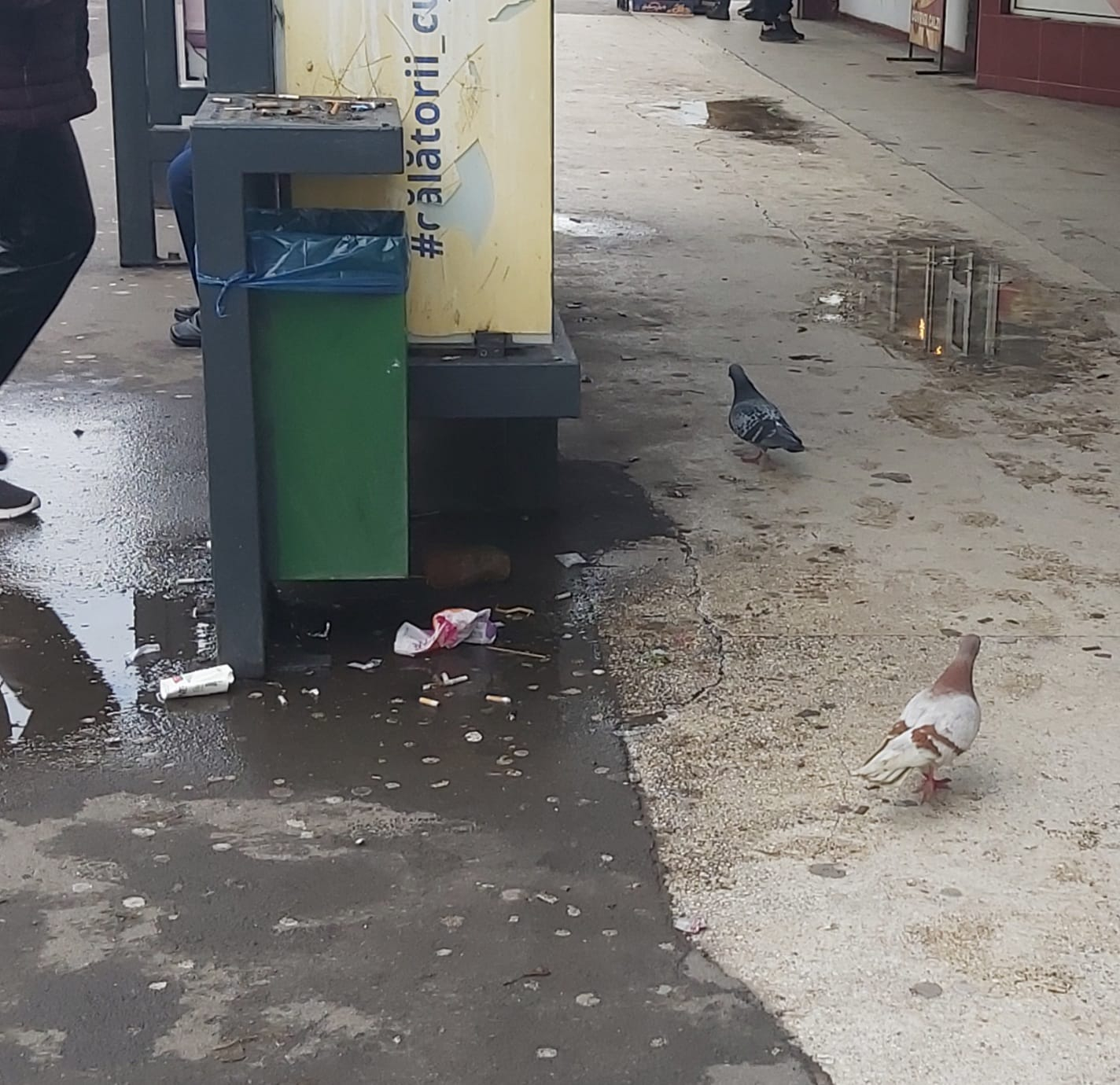 Poza zilei. Cu pacea la gunoi