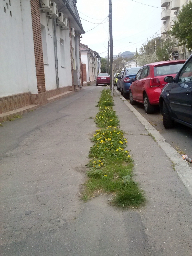 Galaţiul, oraş sau comună?