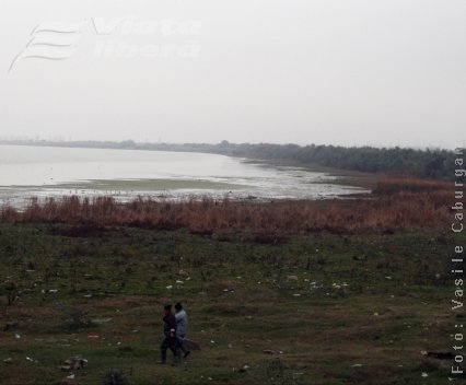 Brateşul - de la speranţă la… agonie