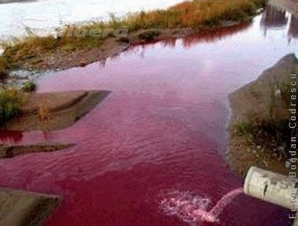 Isteria apei toxice din Dunăre loveşte Galaţiul