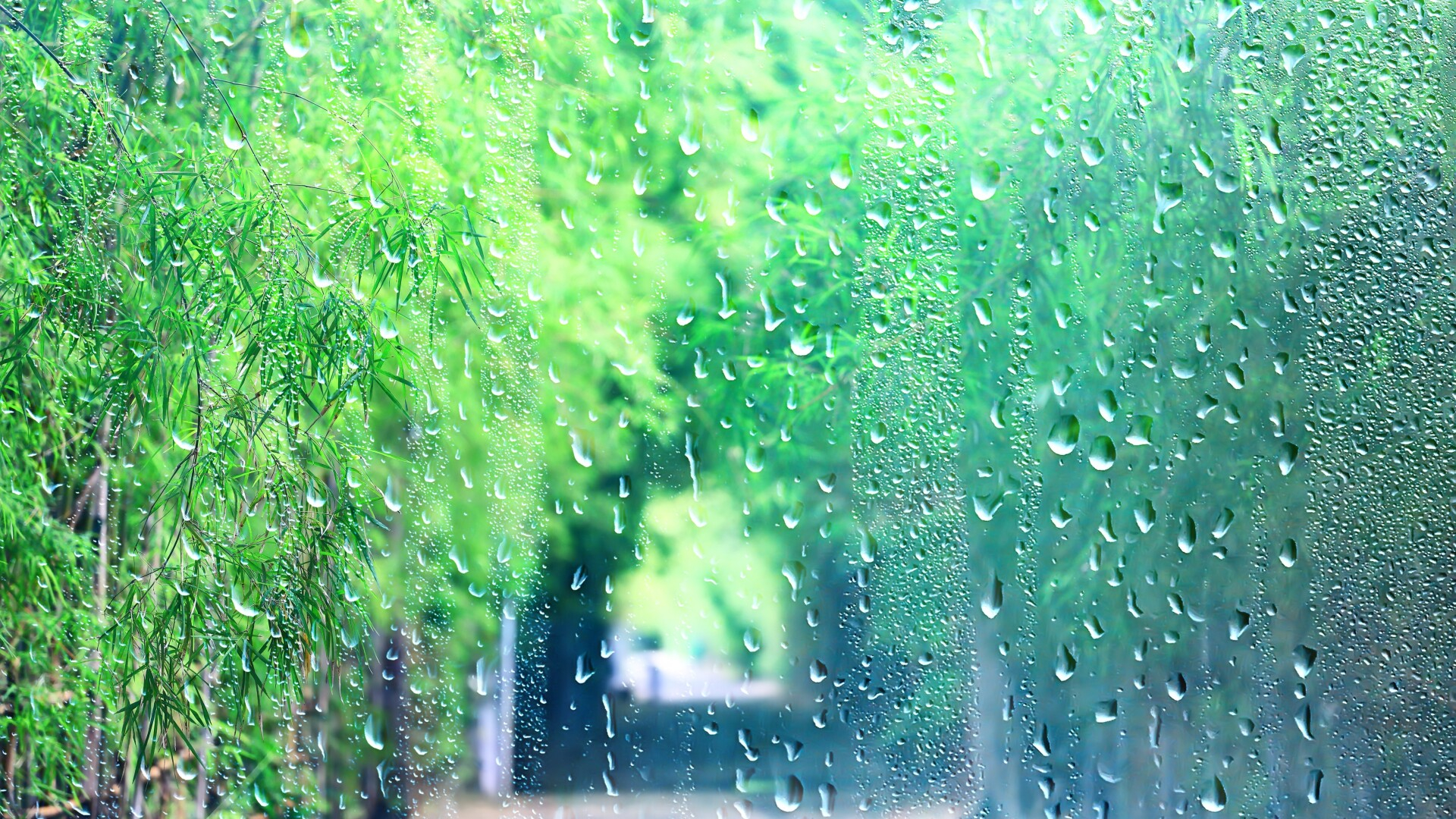 Cum va fi vremea în prima zi a săptămânii