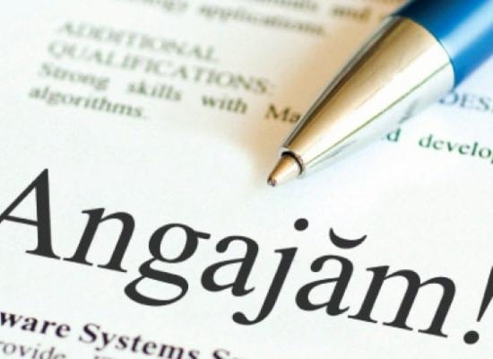 Noul proprietar al unei reţele locale de bricolaj ANGAJEAZĂ 400 de oameni