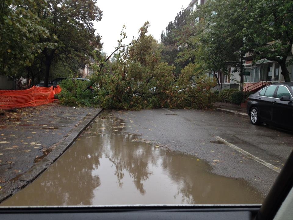 UPDATE - Vântul puternic de noaptea trecută a cauzat probleme în Galați | Iată unde a INTERVENIT ADP