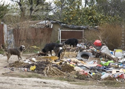 Absurdul din cartierul Traian