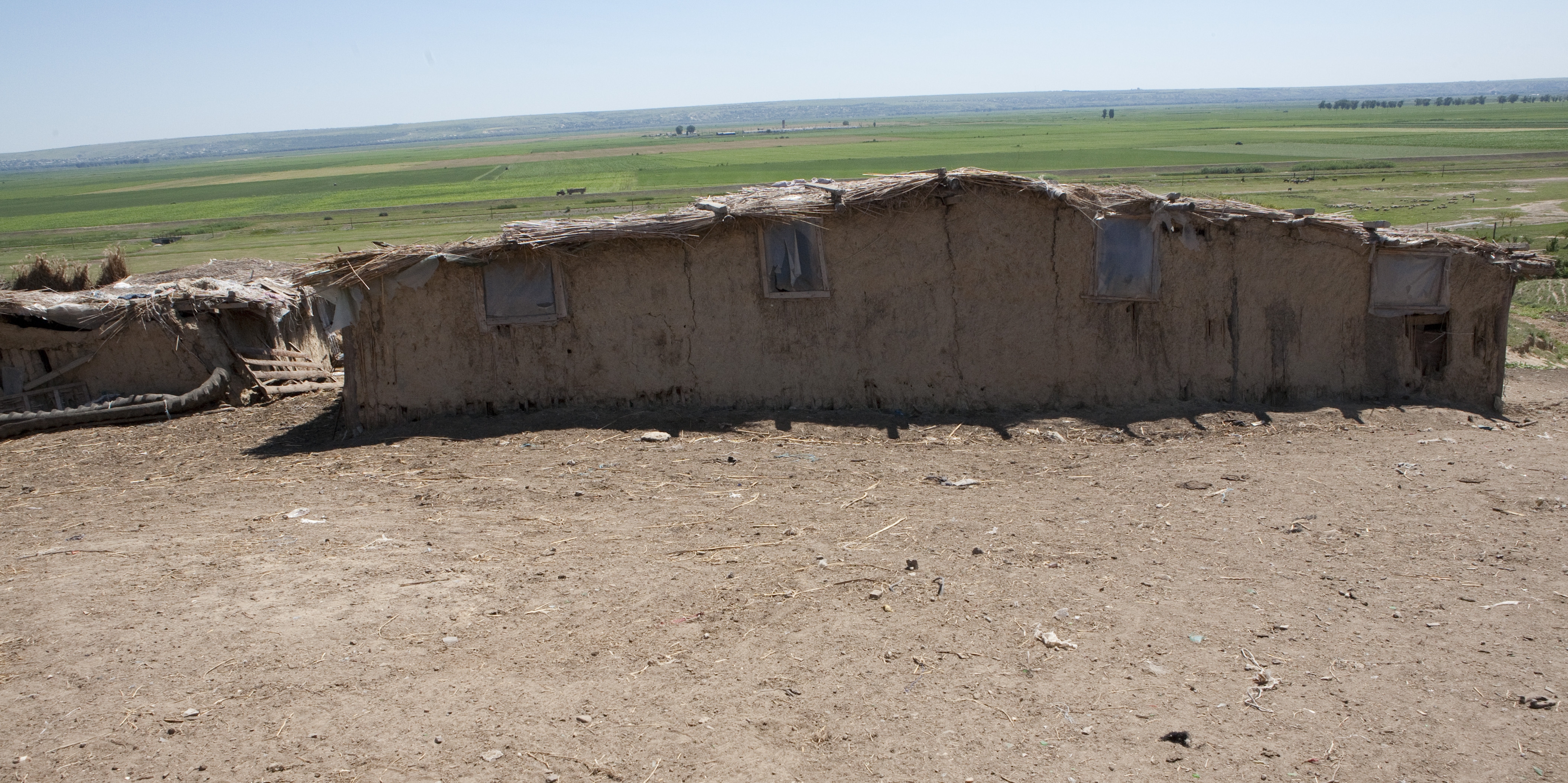 Oierii-terorişti de la Frumuşiţa recidivează. Au răpit un cioban din Brăila!