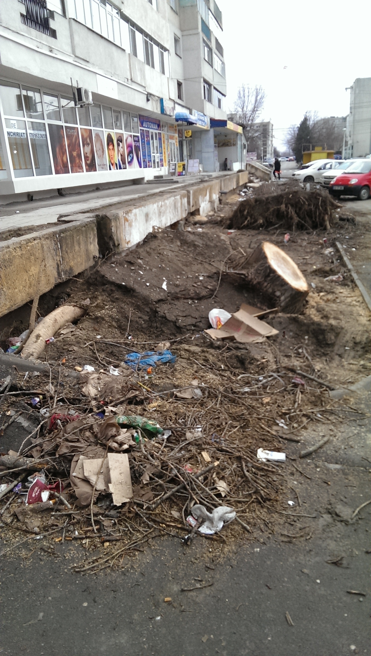 Crengile şi cioatele copacilor căzuţi la VISCOLUL DE ACUM O LUNĂ încă aşteaptă să fie RIDICATE