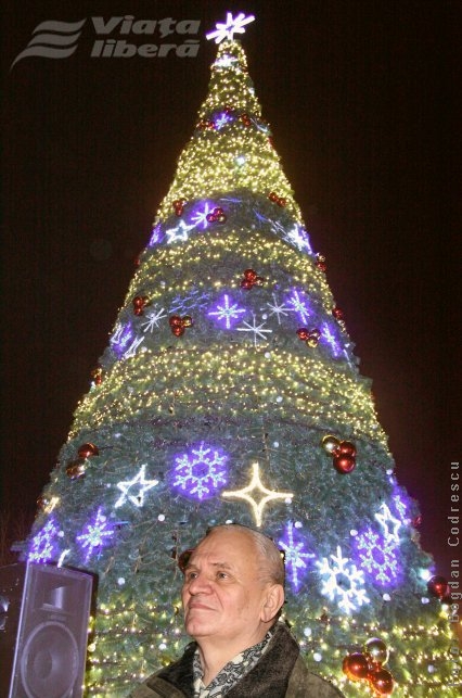 Brad închiriat de primărie cu 17.000 de euro