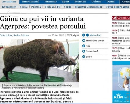 Vânătoare de vrăjitoare 