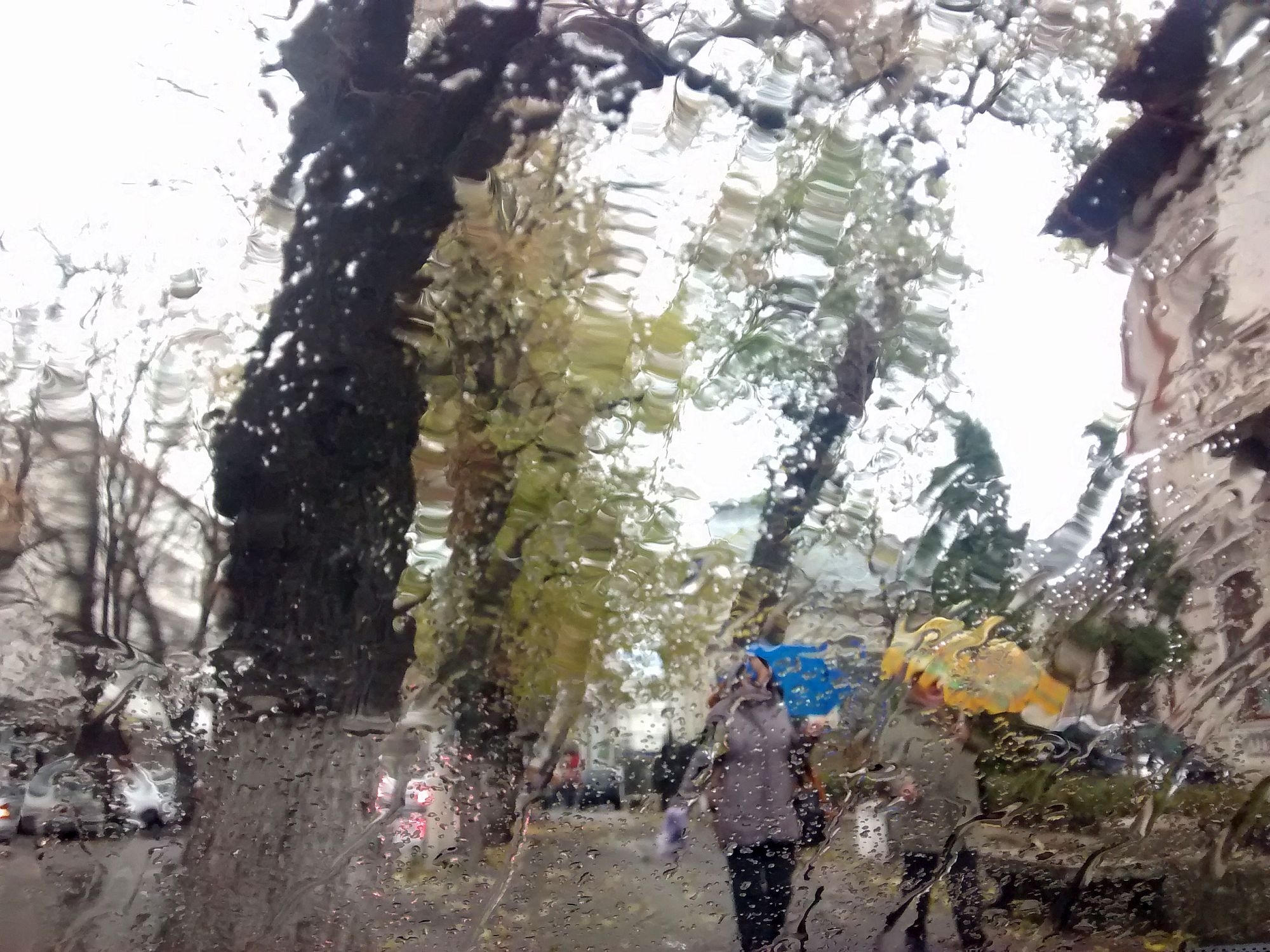 PROGNOZA METEO | Cum va fi VREMEA, miercuri, la GALAŢI