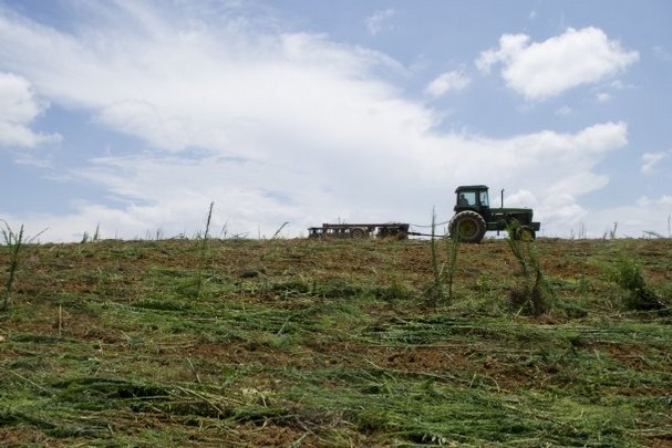 Va fi mai cald şi va ploua. Meteorologii anunţă vreme cu rod