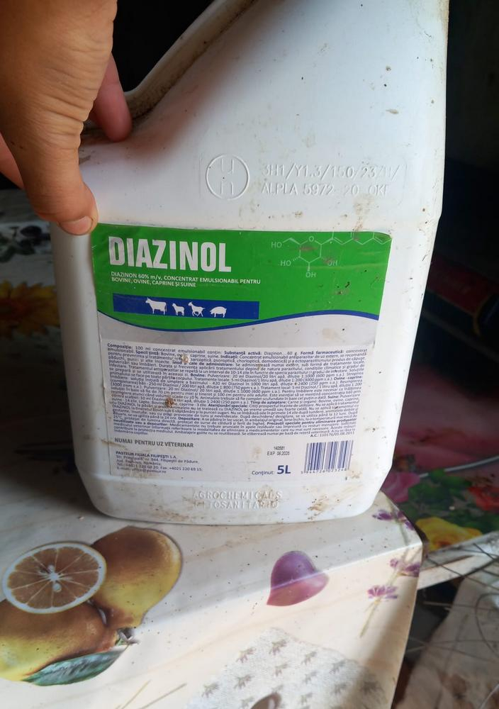 Sute de animale, moarte din cauza unui medicament, spun sătenii (FOTO)