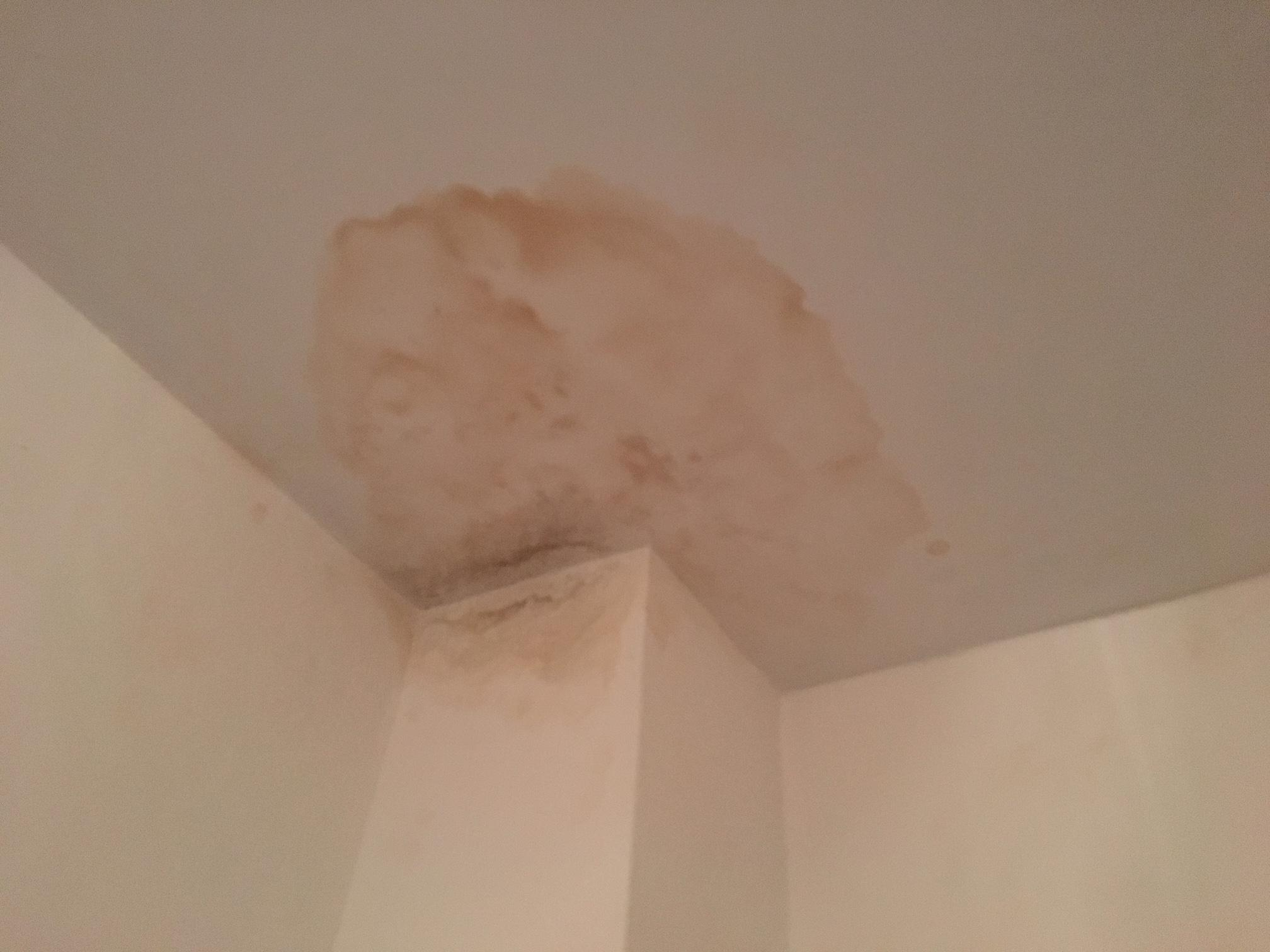 Plouă în apartamente, după ce le-a fost REABILITAT BLOCUL