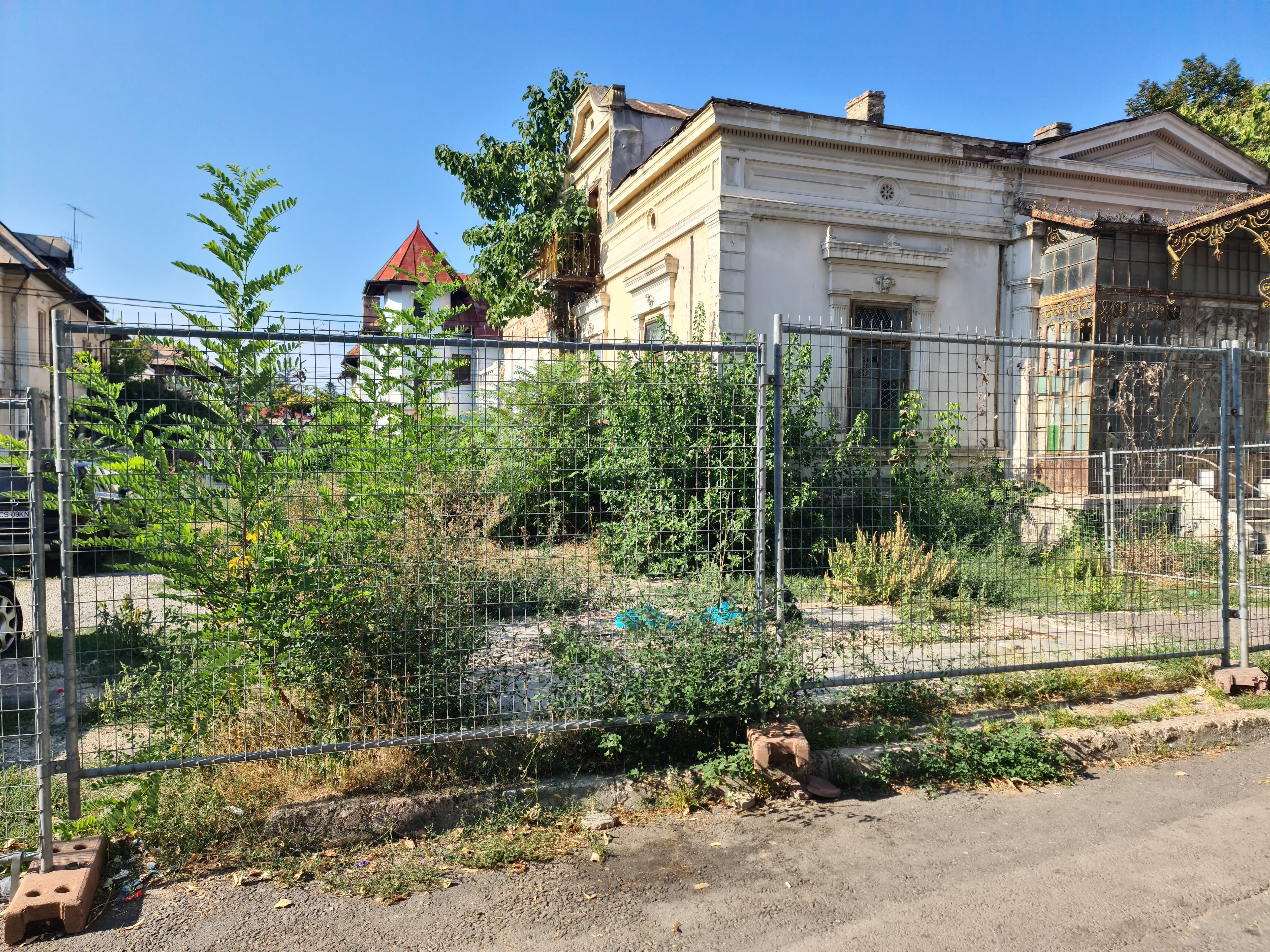 Mică junglă urbană, proprietate privată în centrul Galațiului (FOTO)