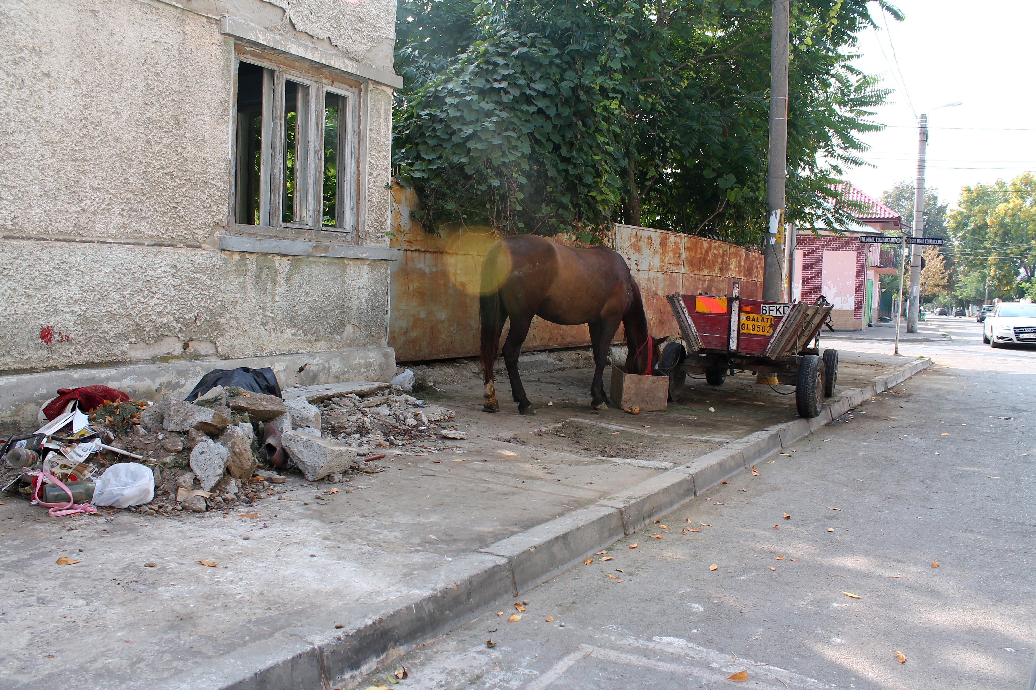 Oraş european cu balegă pe străzi: Grajd improvizat pe trotuar