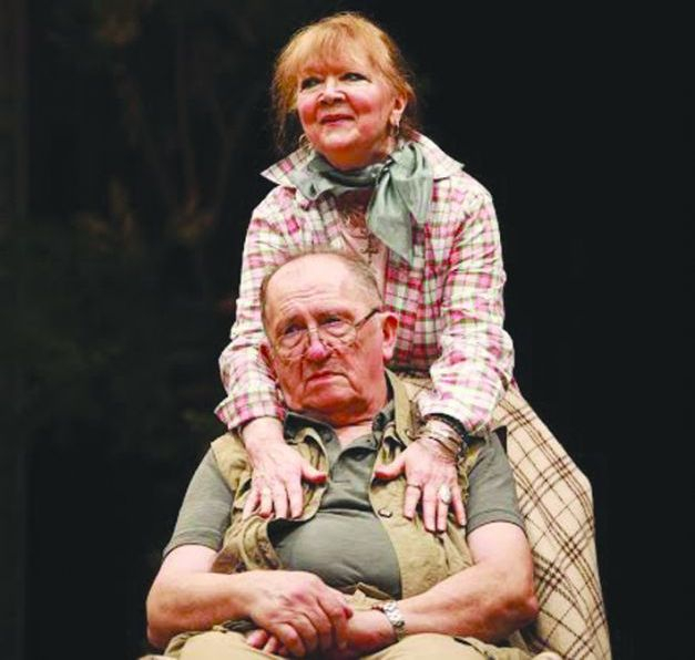 Când zâmbetul dezveleşte colţii şi ascunde inima | Un spectacol marca ”Bulandra”, cu V & V Ogăşanu. Duelissimo!