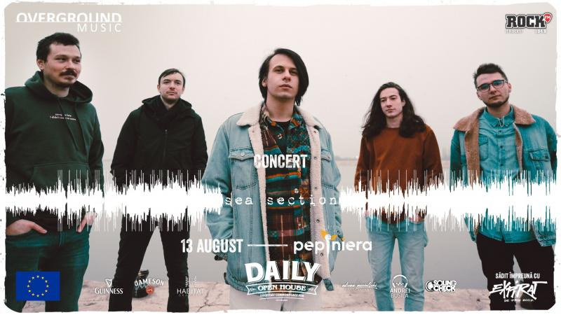 Concert rock în Daily Pub