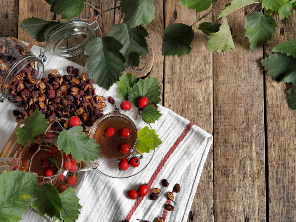 Puterea vindecătoare a păducelului, cunoscut din vechime ca „planta inimii”