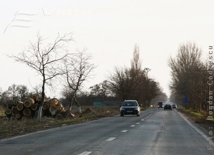 Continuă defrişarea drumurilor naţionale