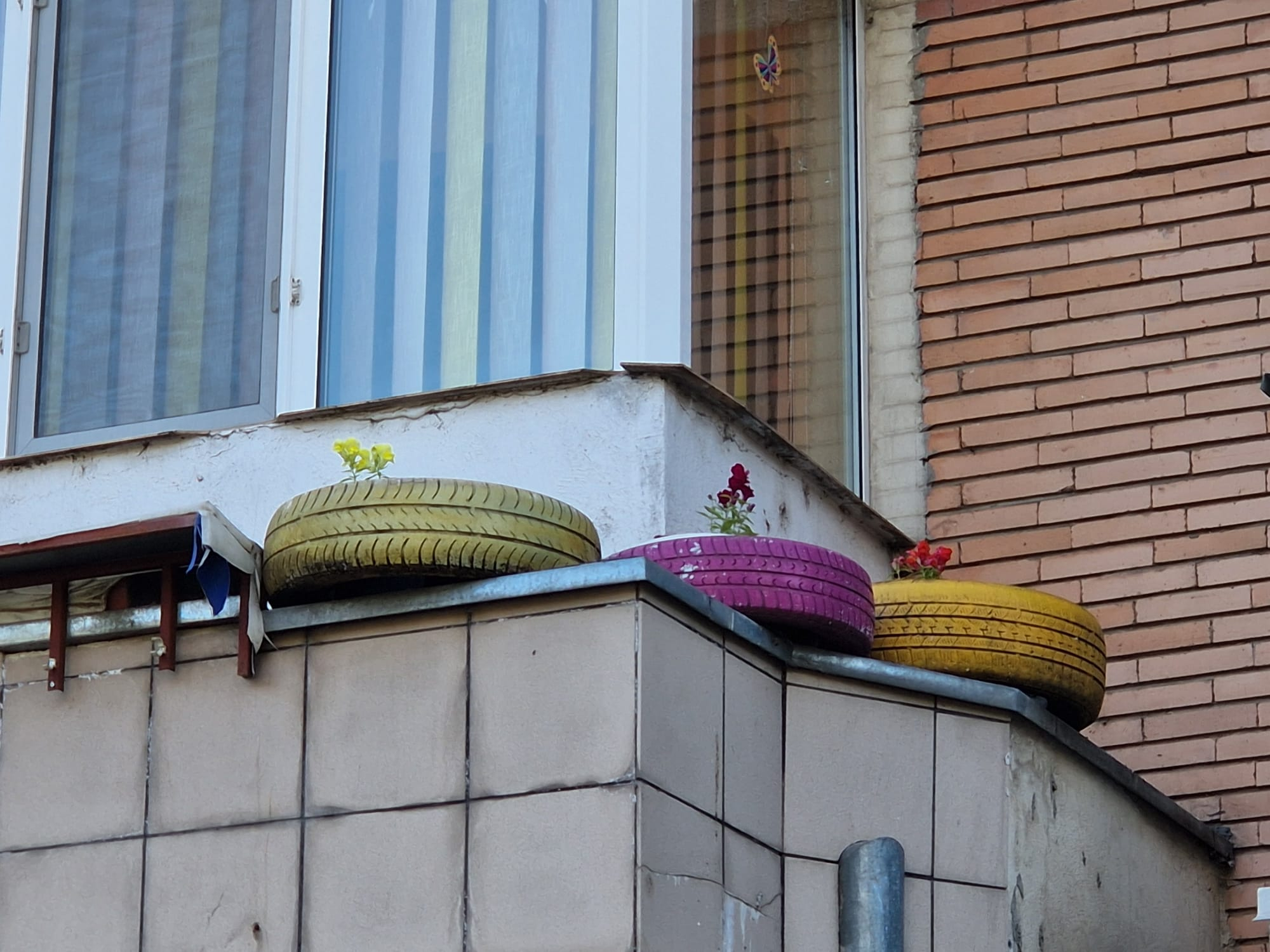 Poza zilei. Din grădinile suspendate ale Galaţiului