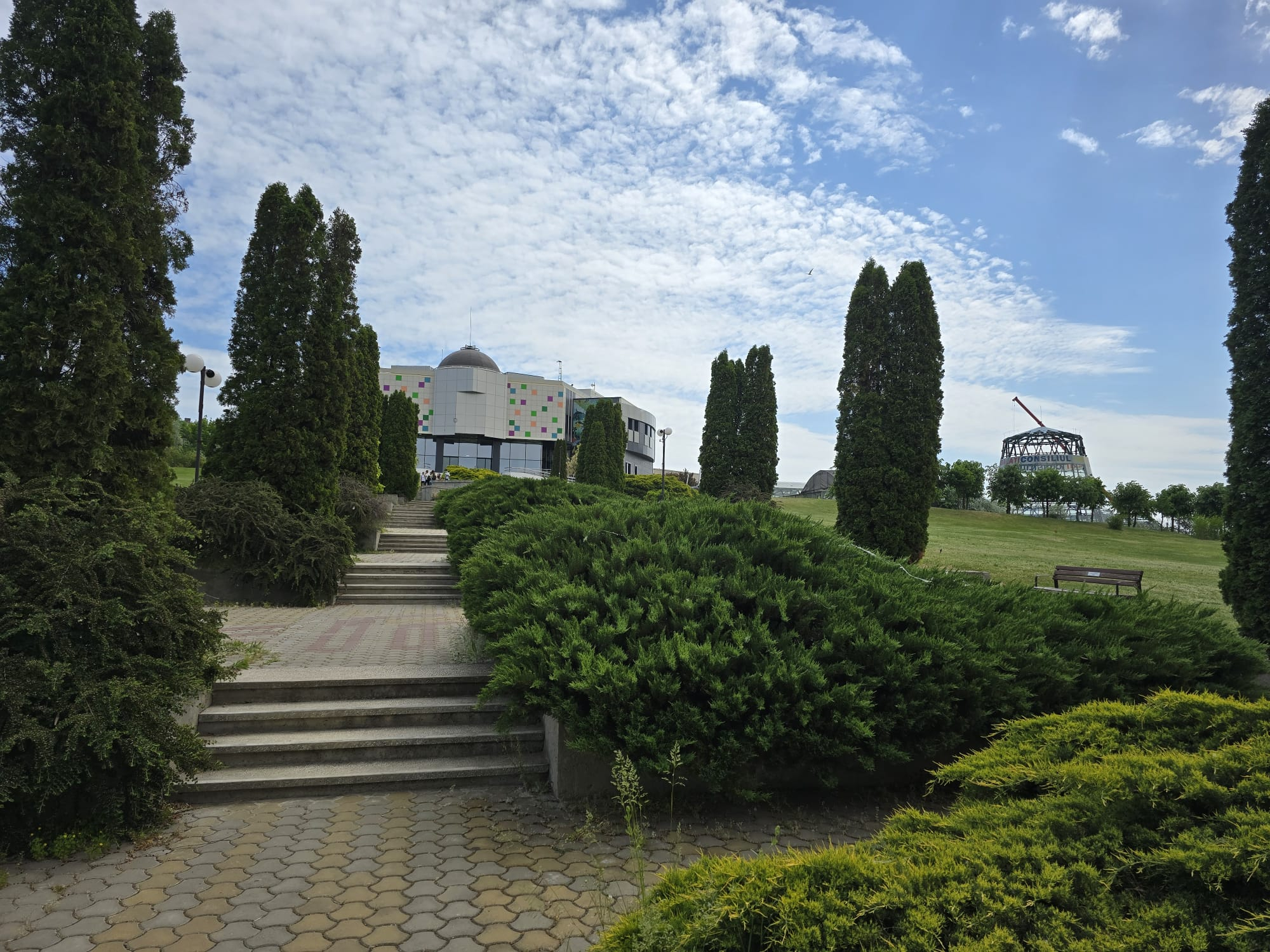 Licitația de la Grădina Botanică, responsabilitatea Complexului Muzeal