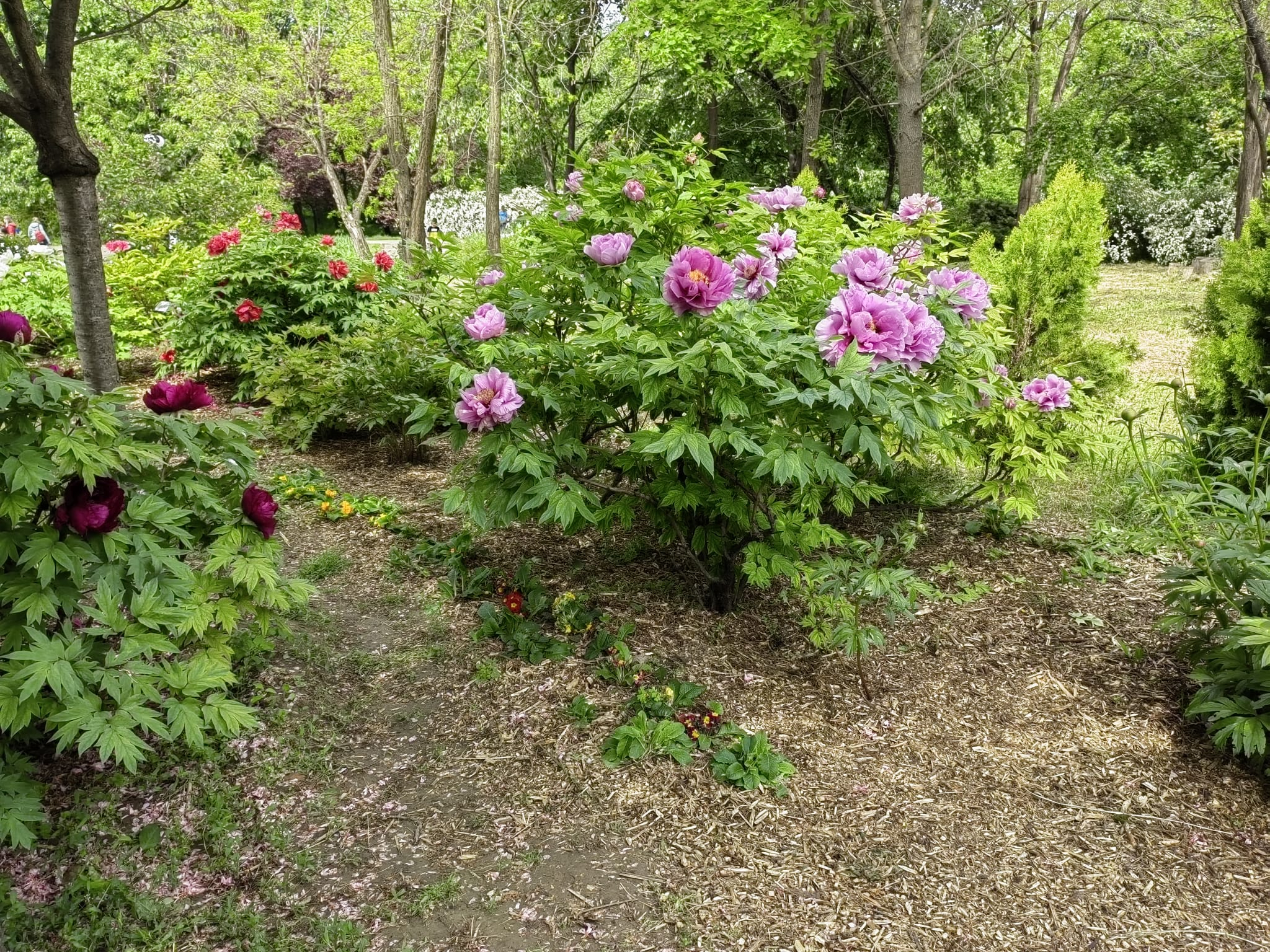 Unde poţi evada în natură, ca la pădure ori la munte