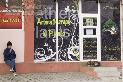 Buldozere contra magazine de vise