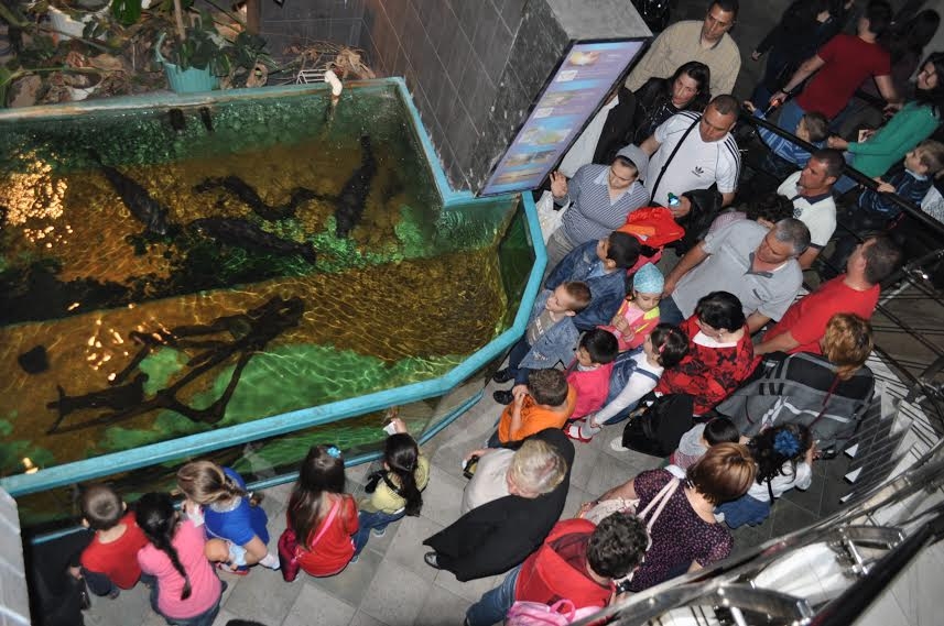 Noaptea Muzeelor la Galaţi: MII DE GĂLĂŢENI au luat cu asalt instituţiile de cultură