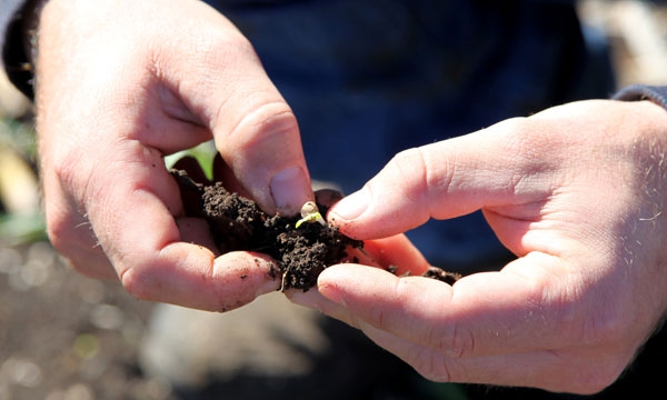 Mii de fermieri au primit asistenţă din partea Camerei Agricole