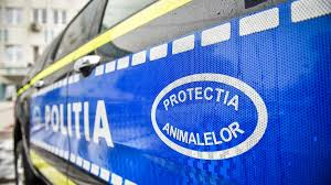 Bărbatul vinovat de uciderea și rănirea unor câini, pe mâna poliției