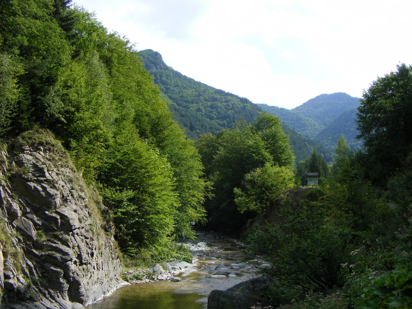 Campanie VL "Eu vara nu dorm"/ Cât COSTĂ VACANŢA în Munţii Vrancei