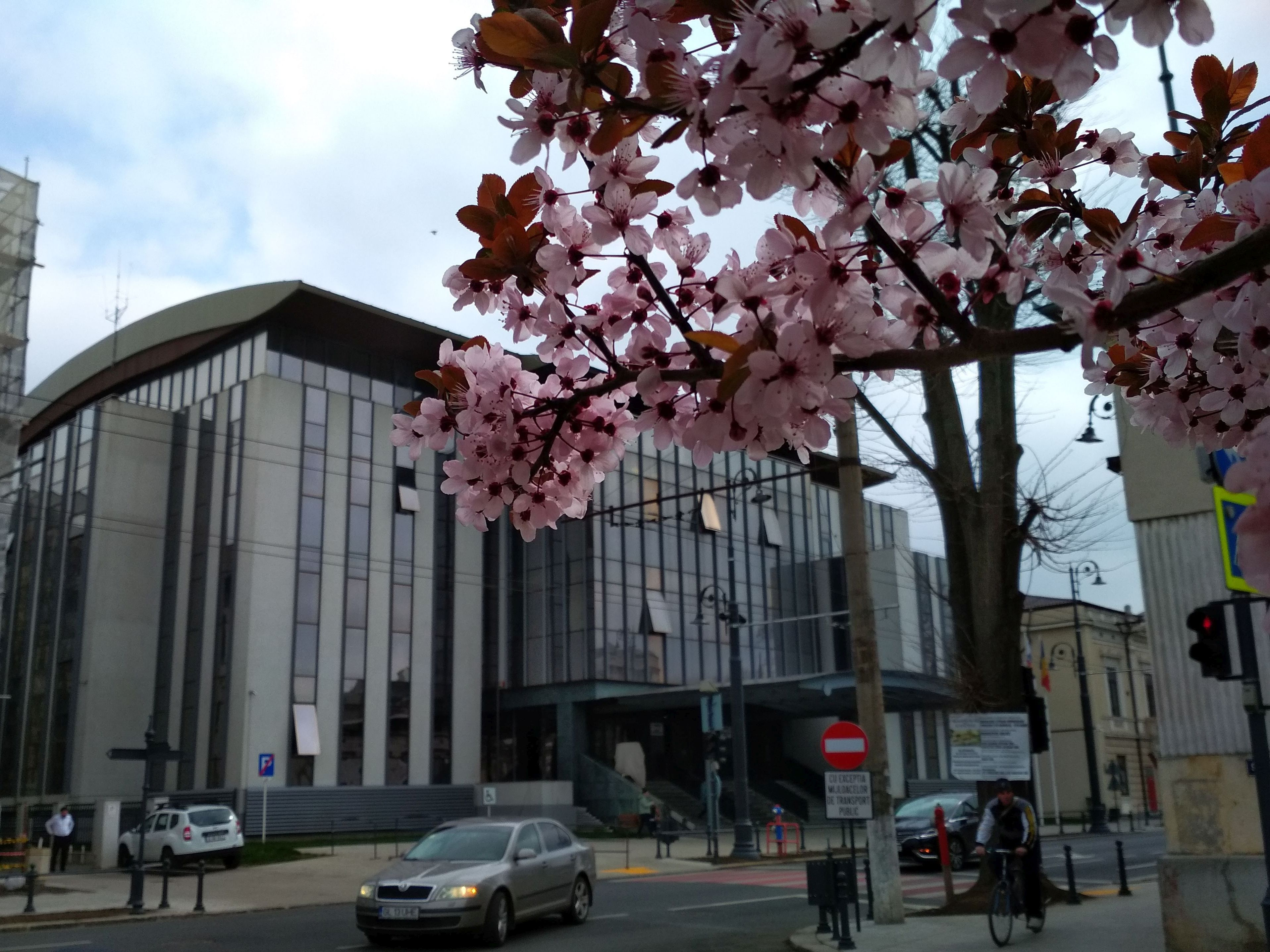 Poza zilei. Când „înflorește” sediul Primăriei Galați